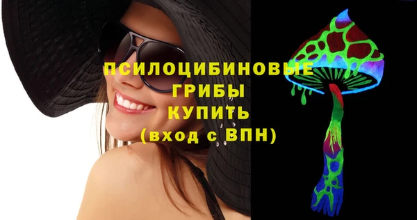 индика Алексин