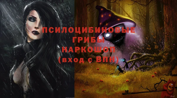 индика Алексин