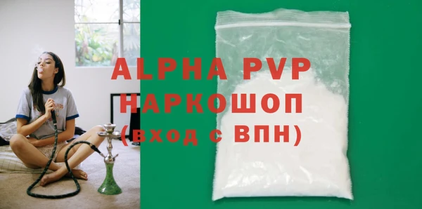 индика Алексин