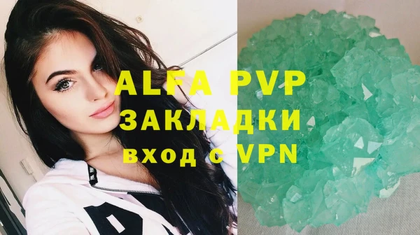 индика Алексин
