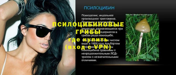 индика Алексин