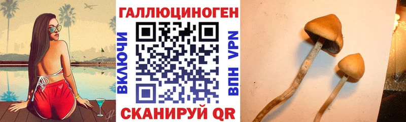 Галлюциногенные грибы Cubensis  MEGA tor  Заволжск  сколько стоит 