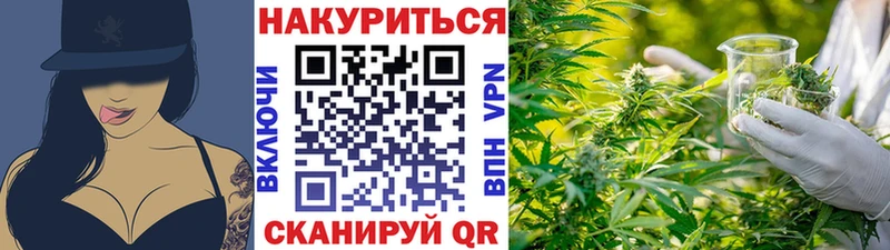 Бошки марихуана конопля Заволжск